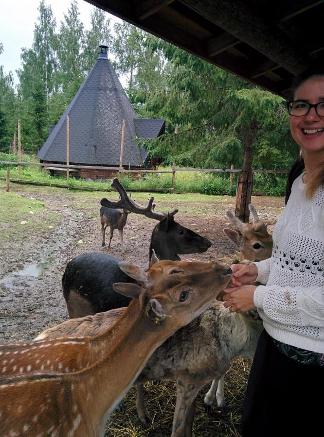 Suvituuli | Paajoen Vuokramoekit Villa Himos Ngoại thất bức ảnh